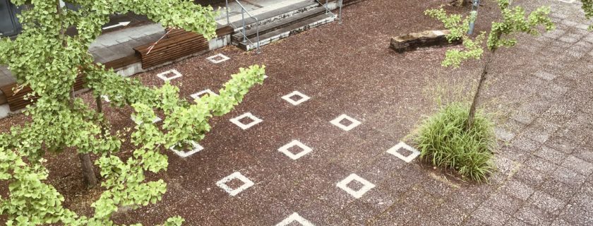 2 juin 2020 : Le lycée accueille à nouveau des élèves