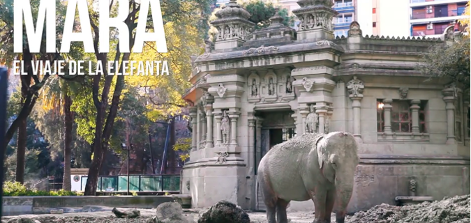 39ème rencontres du cinéma latino-américain￼